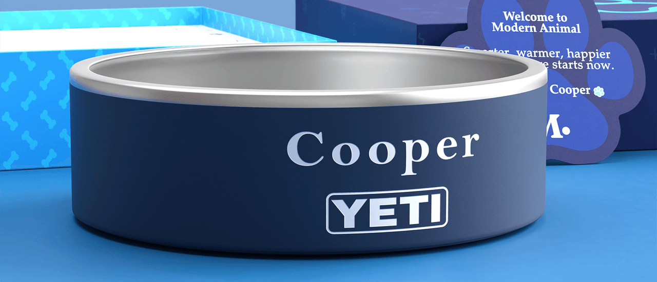 Yeti Dog Bowl Gift Set 2